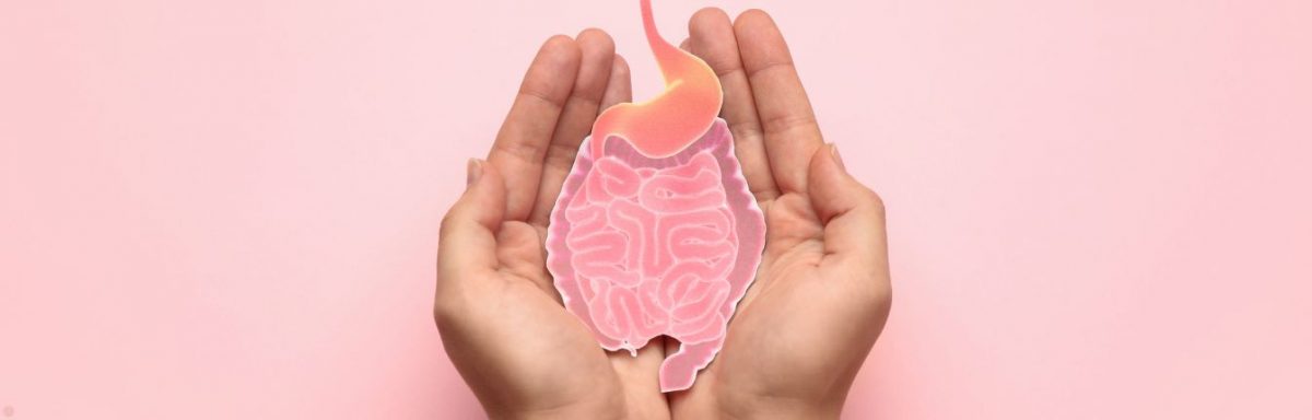 Two hands holding a paper cut out of the digestive system on a pink background.