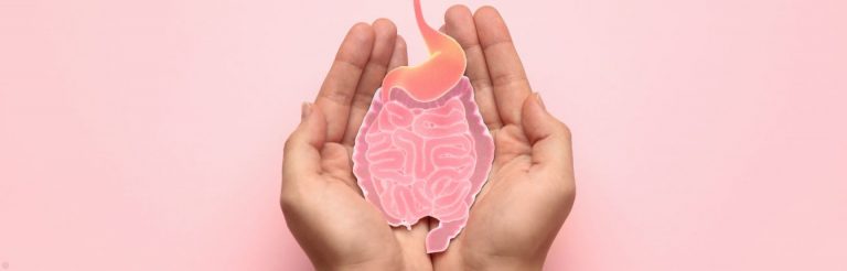 Two hands holding a paper cut out of the digestive system on a pink background.